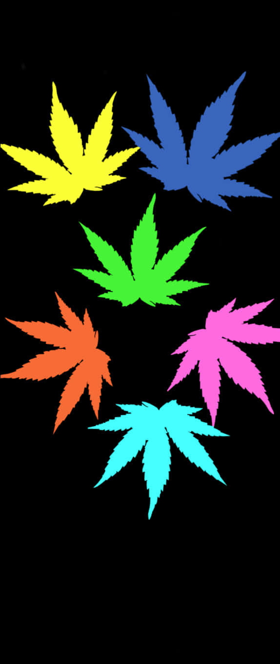 Colorful Cannabis Leaves Vector Art