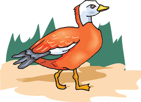 Colorful Cartoon Bird Illustration