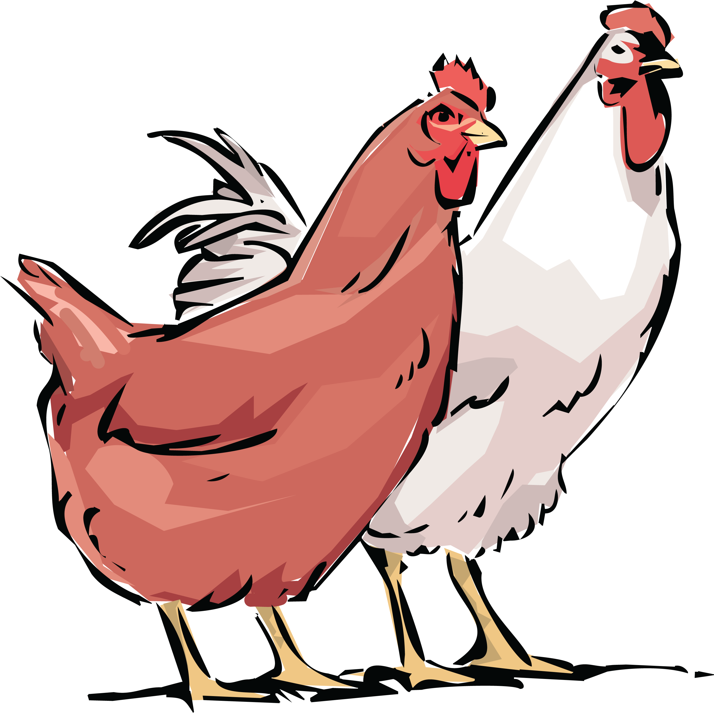 Colorful Cartoon Chickens