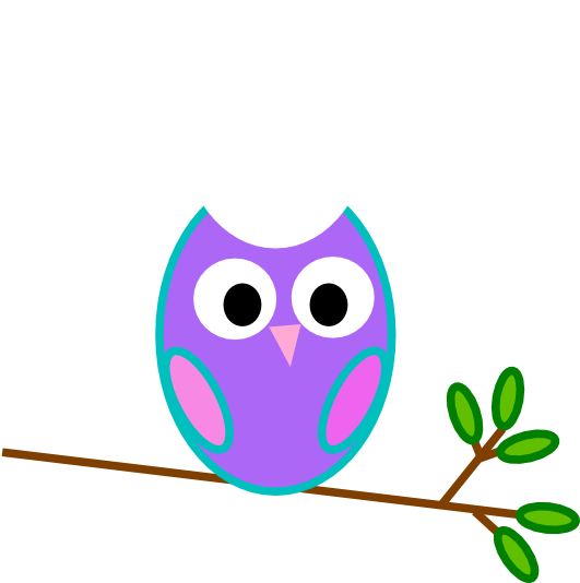 Colorful Cartoon Owlon Branch