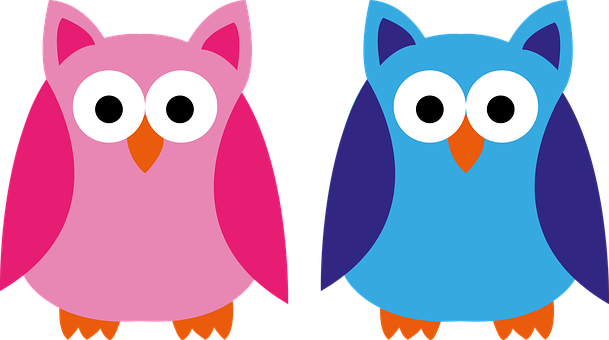Colorful Cartoon Owls Illustration