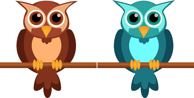 Colorful Cartoon Owls Perching
