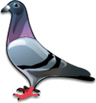 Colorful Cartoon Pigeon