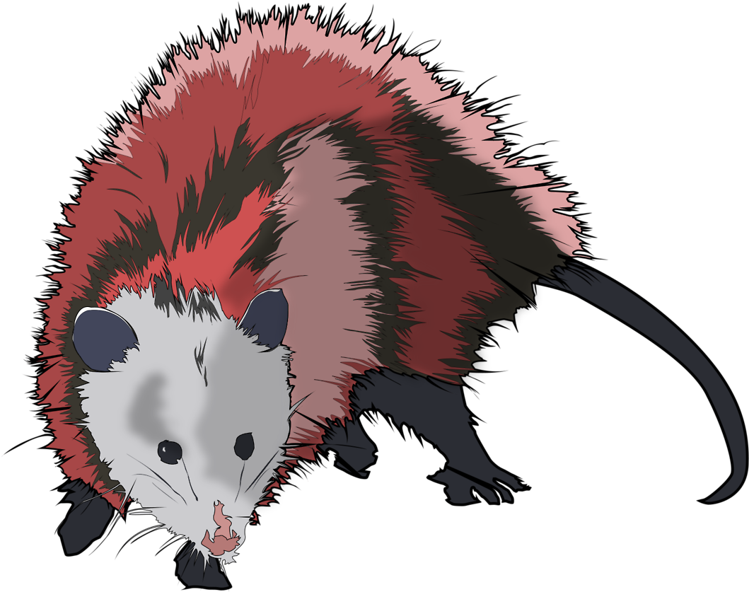 Colorful Cartoon Possum