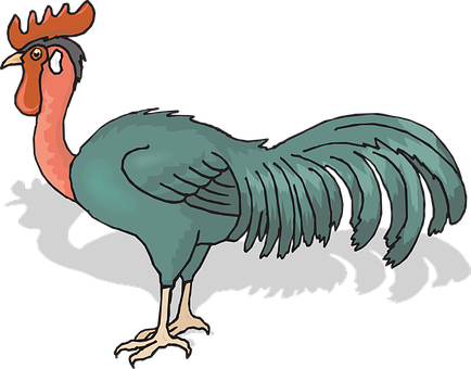 Colorful Cartoon Rooster Illustration