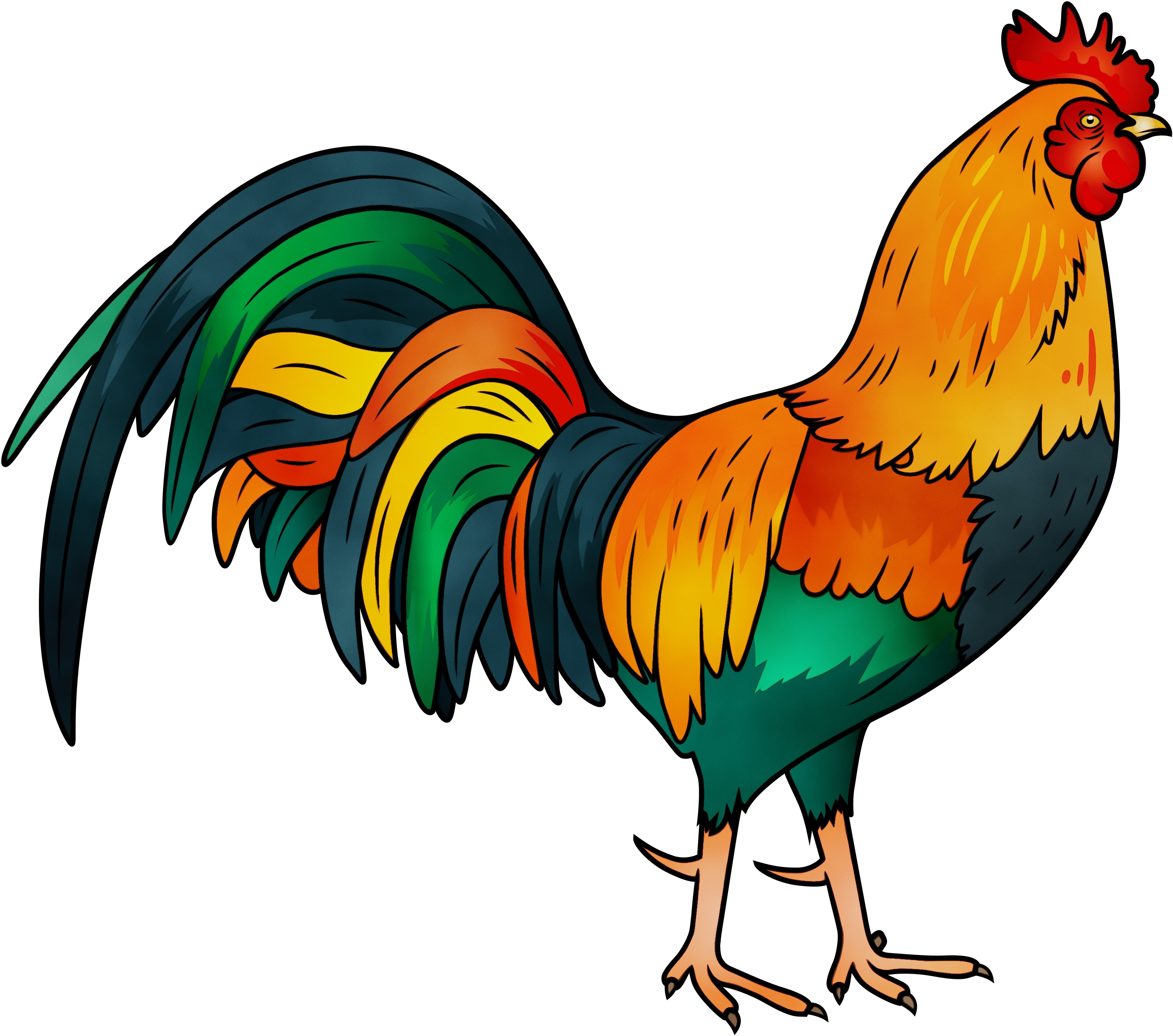 Colorful Cartoon Rooster Illustration