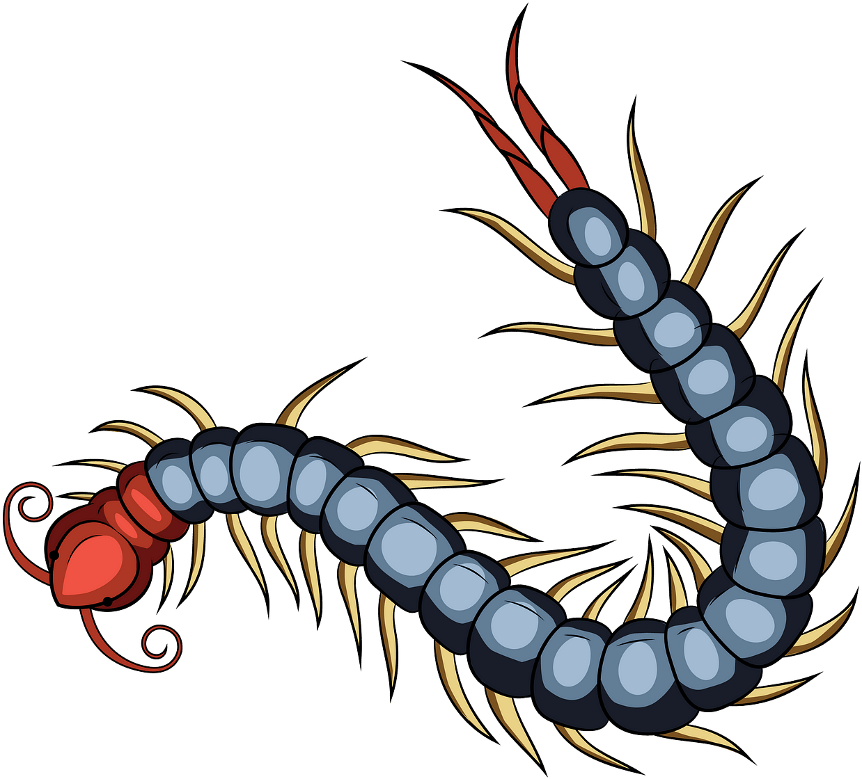 Colorful Centipede Illustration