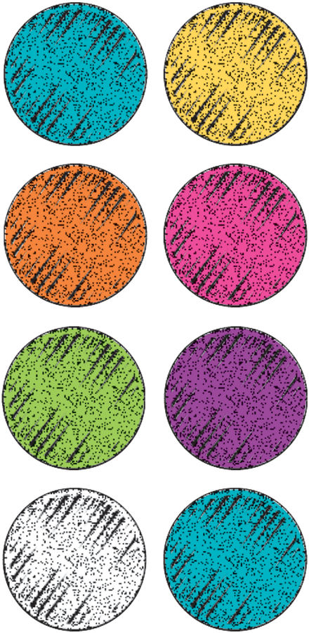 Colorful_ Circle_ Patterns_ Vector