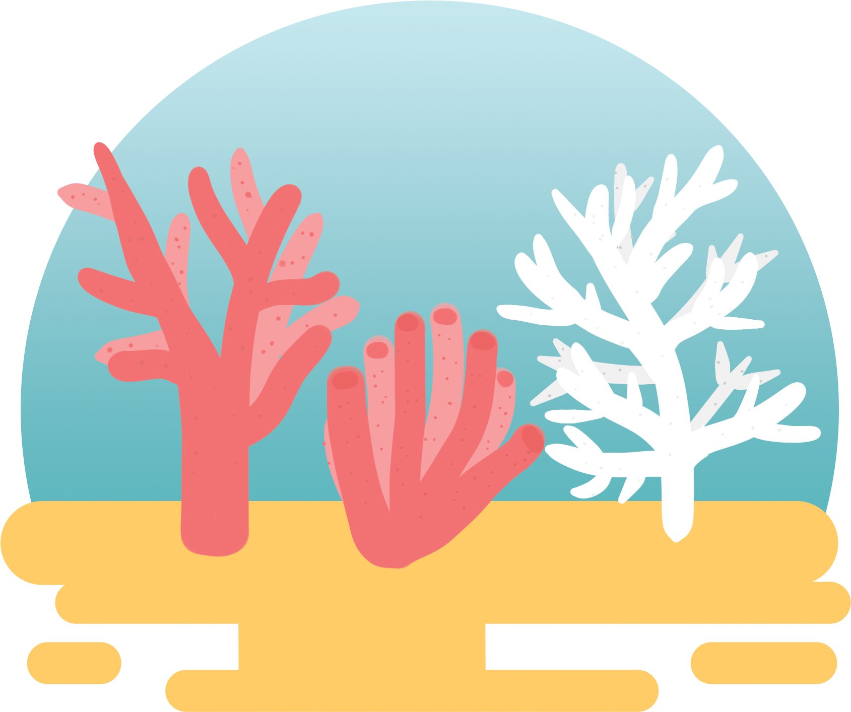Colorful Coral Illustration