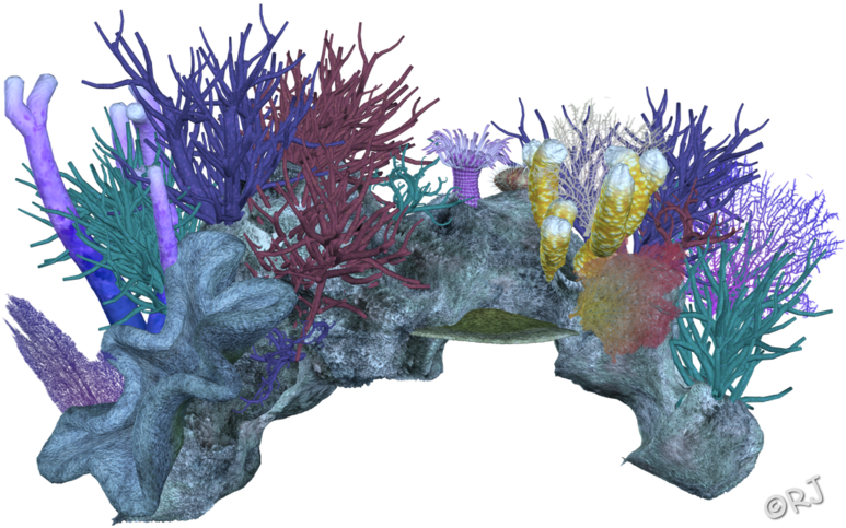 Colorful_ Coral_ Reef_ Simulation