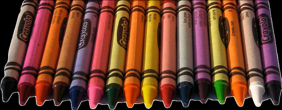 Colorful Crayola Crayons Array