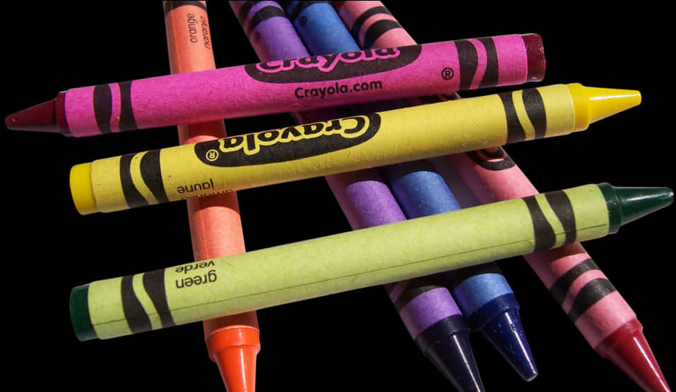 Colorful Crayola Crayons Array