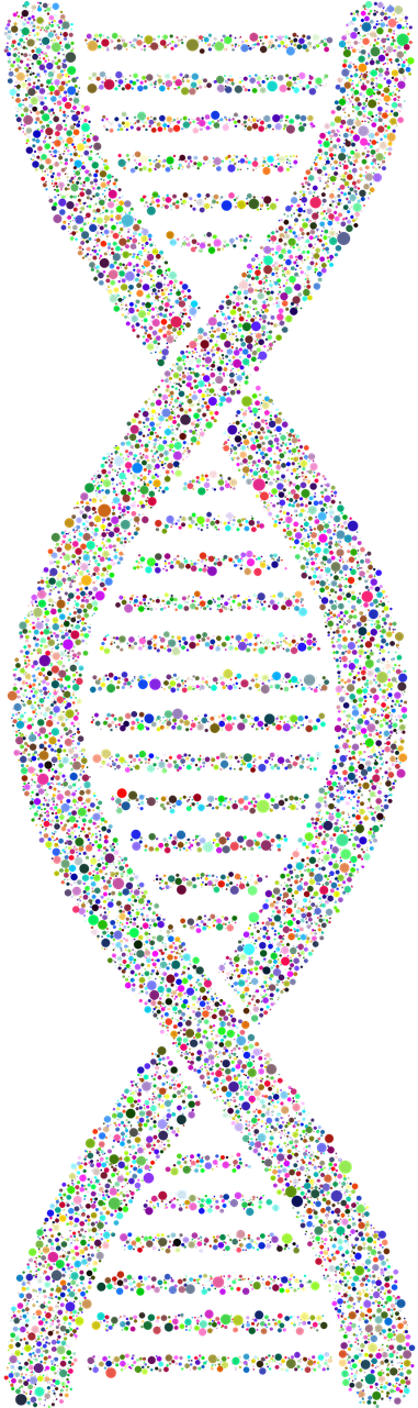 Colorful D N A Structure Artwork