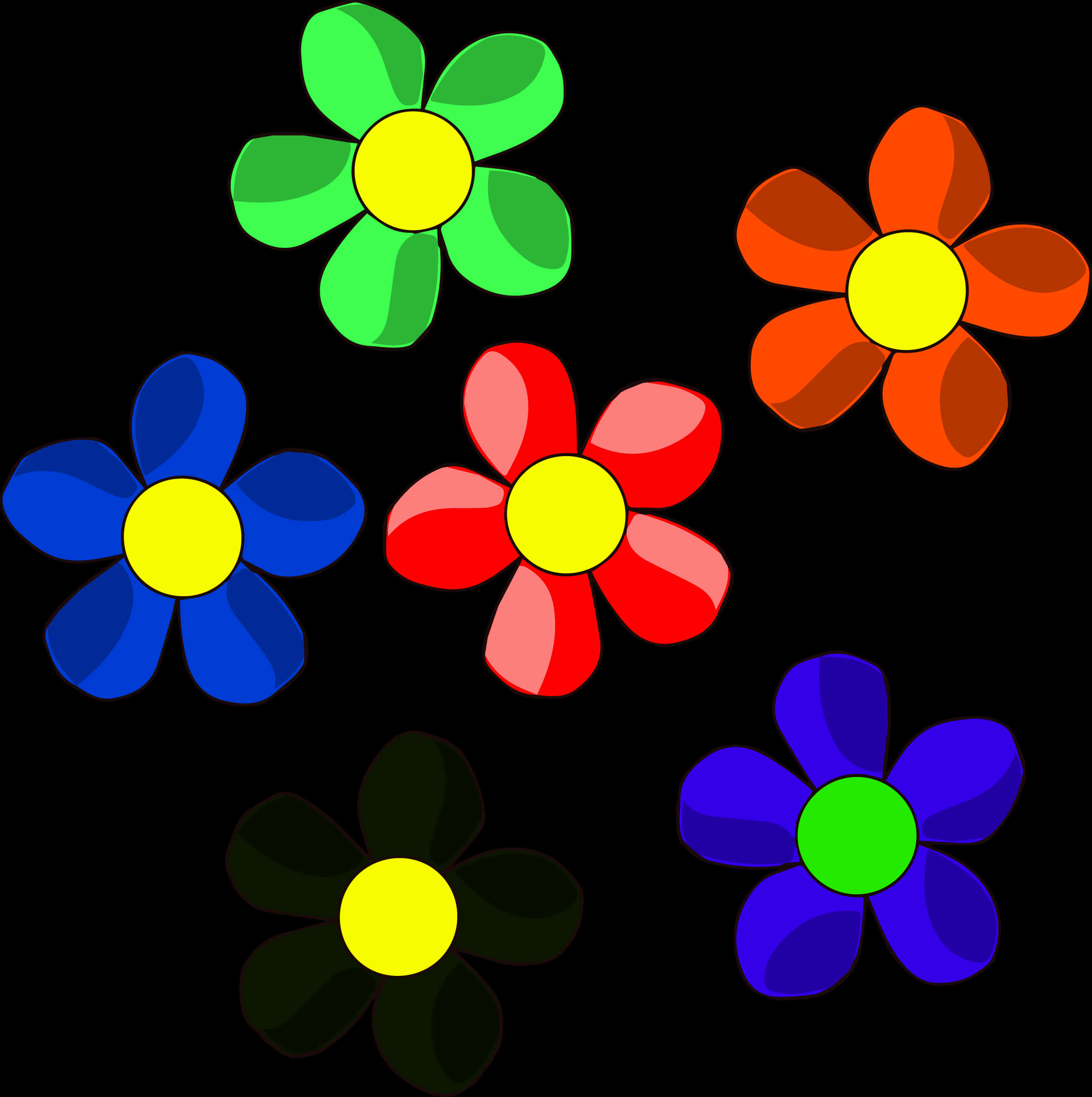 Colorful Daisy Flowers Vector Illustration
