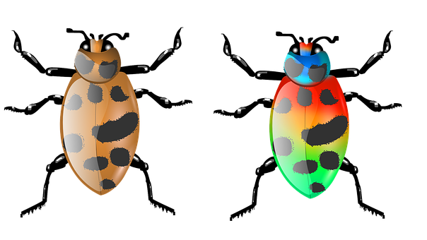 Colorful Digital Beetles Illustration