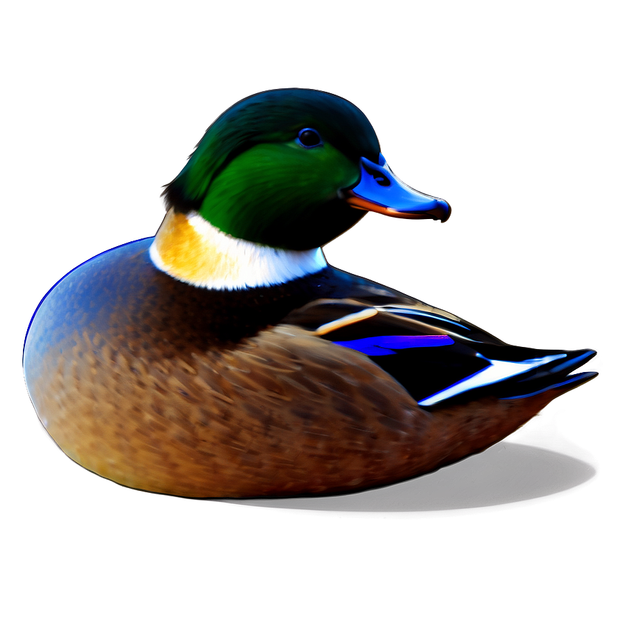 Colorful Duck Drawing Png 05032024