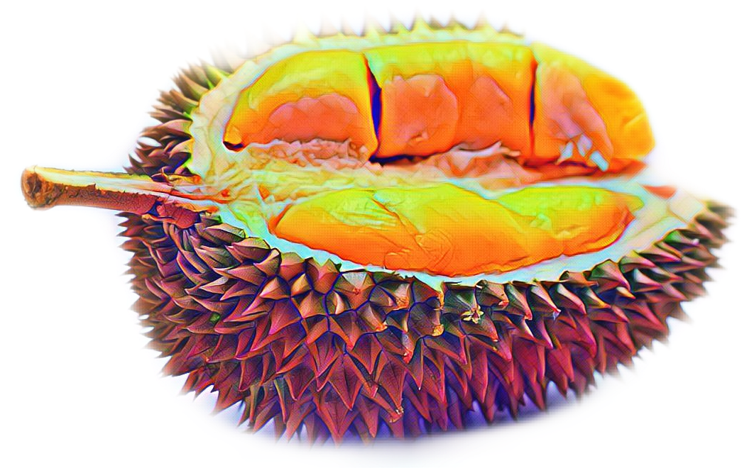 Colorful Durian Fruit Sliced Open
