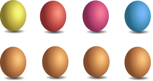 Colorful Egg Collection