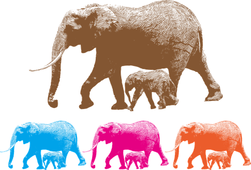 Colorful Elephant Family Silhouettes