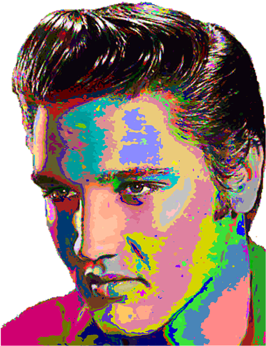 Colorful Elvis Presley Portrait