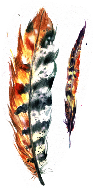 Colorful Feather Artwork.png