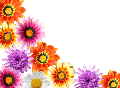 Colorful Floral Arrayon Black Background