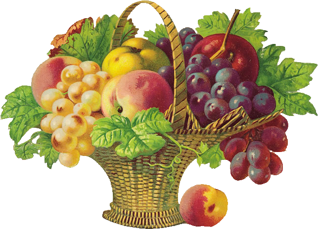 Colorful Fruit Basket Illustration