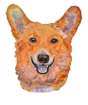 Colorful Geometric Corgi Portrait