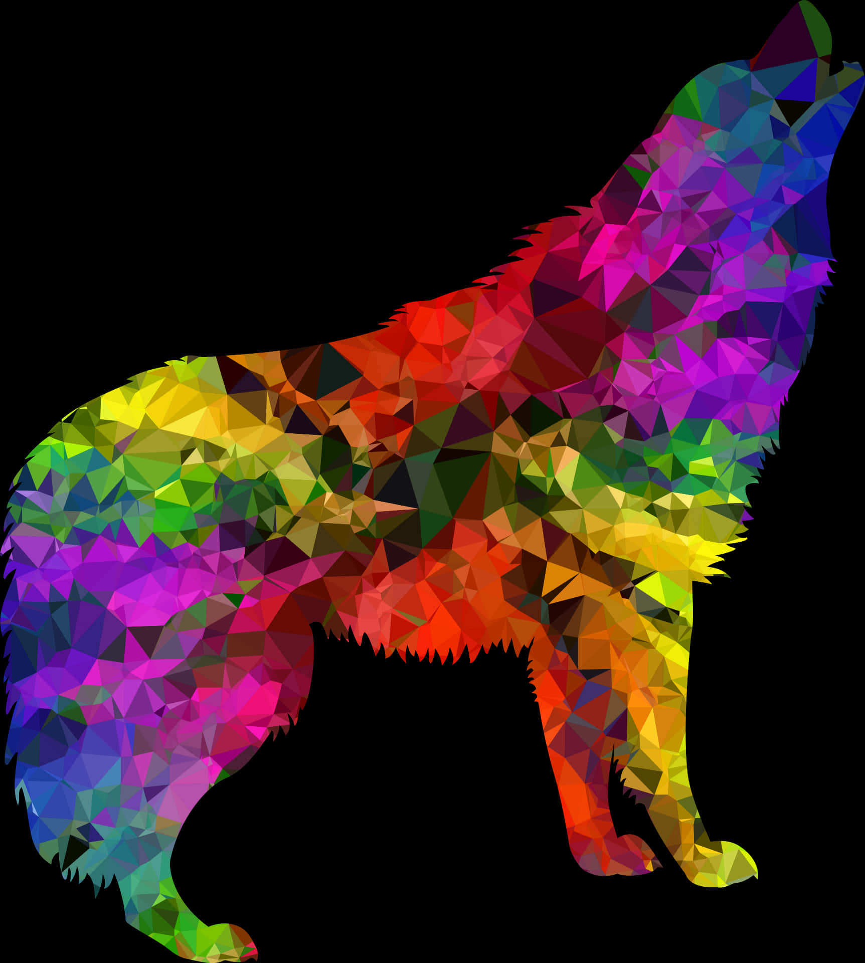 Colorful Geometric Wolf Art