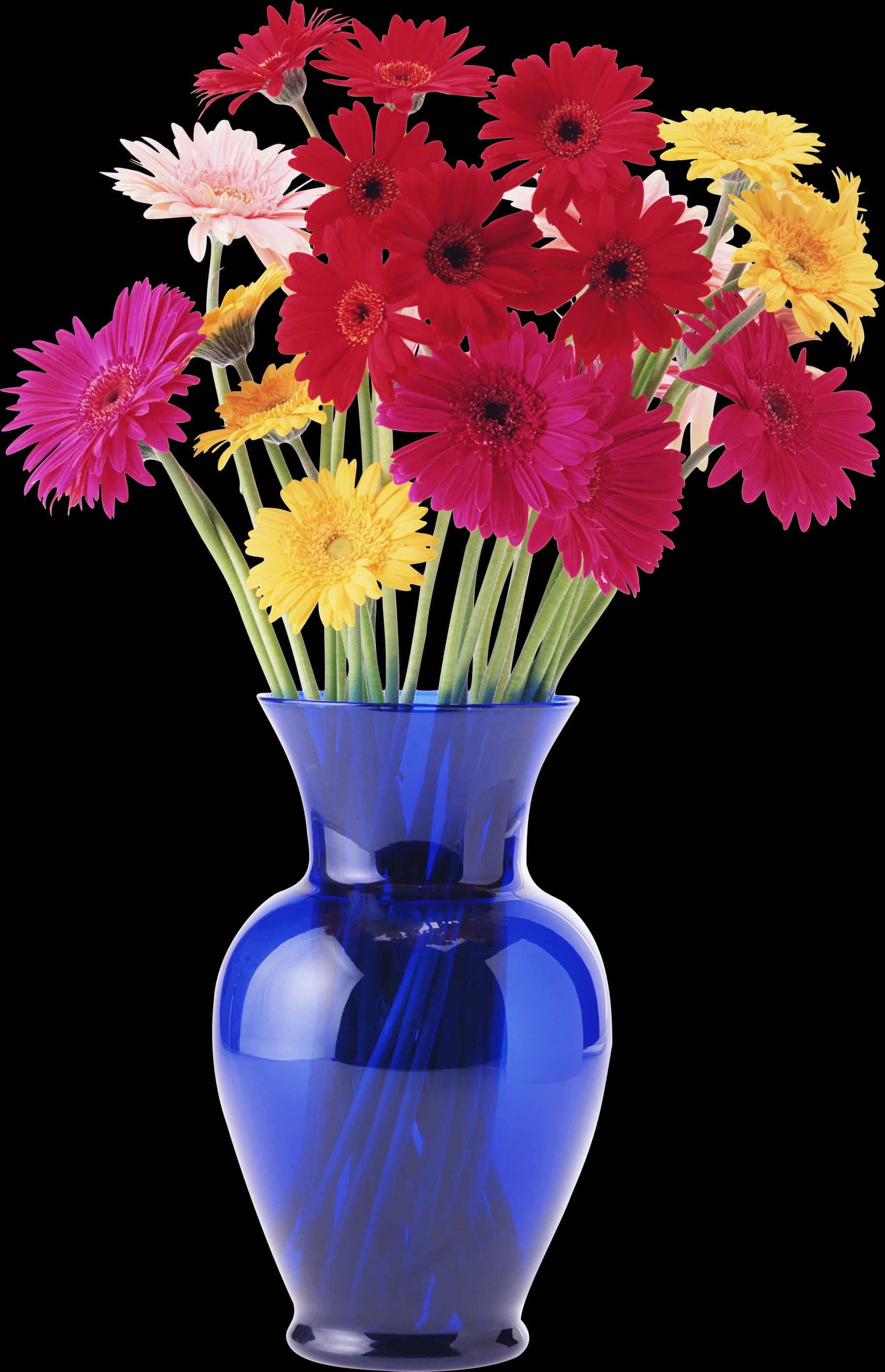 Colorful Gerbera Daisiesin Blue Vase