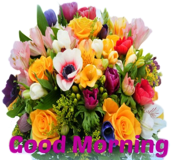 Colorful Good Morning Floral Greeting