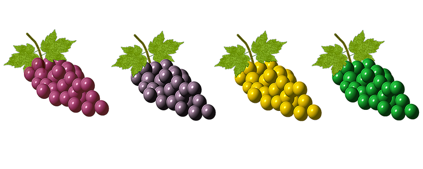 Colorful Grape Bunches Variety
