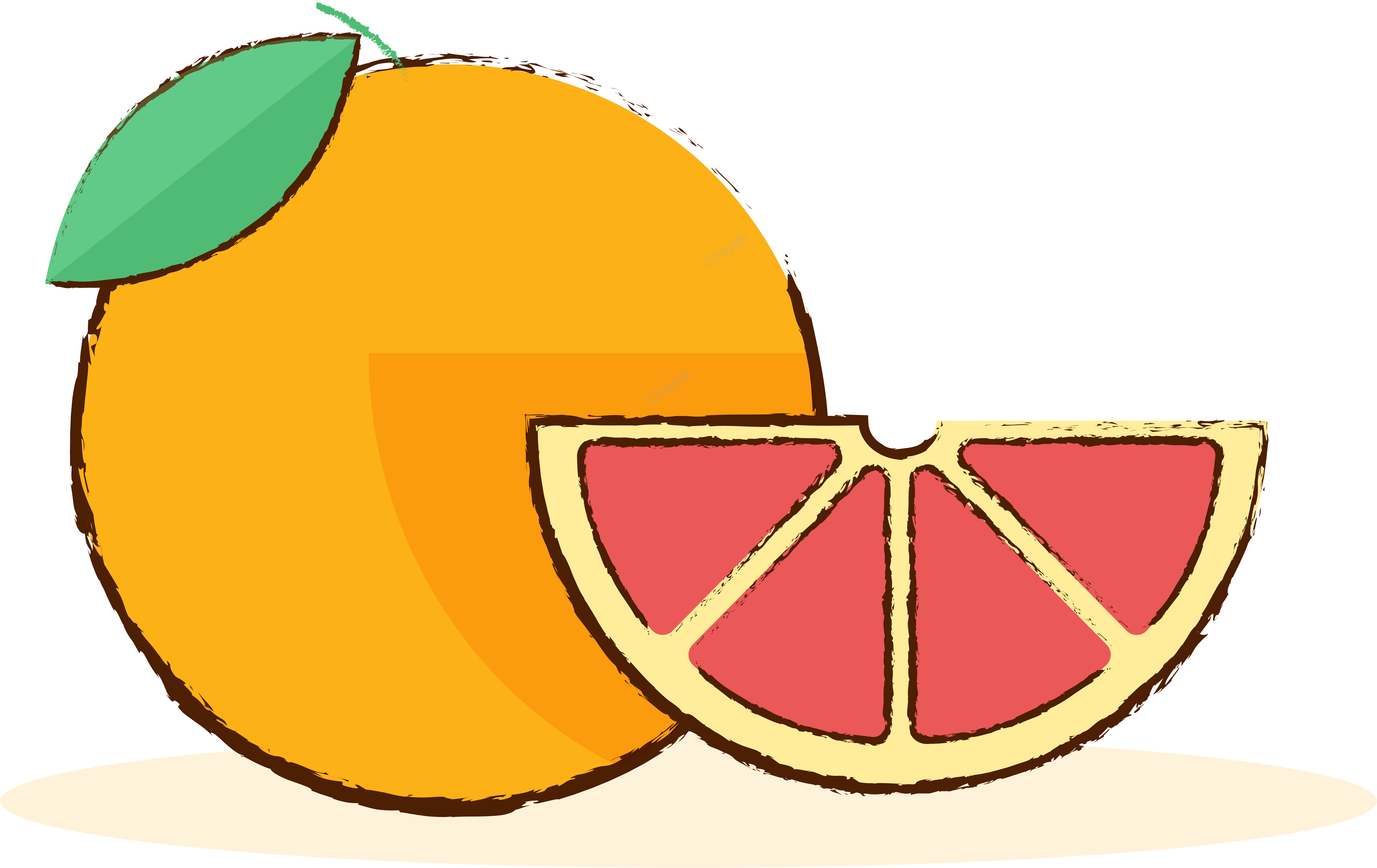 Colorful Grapefruit Illustration