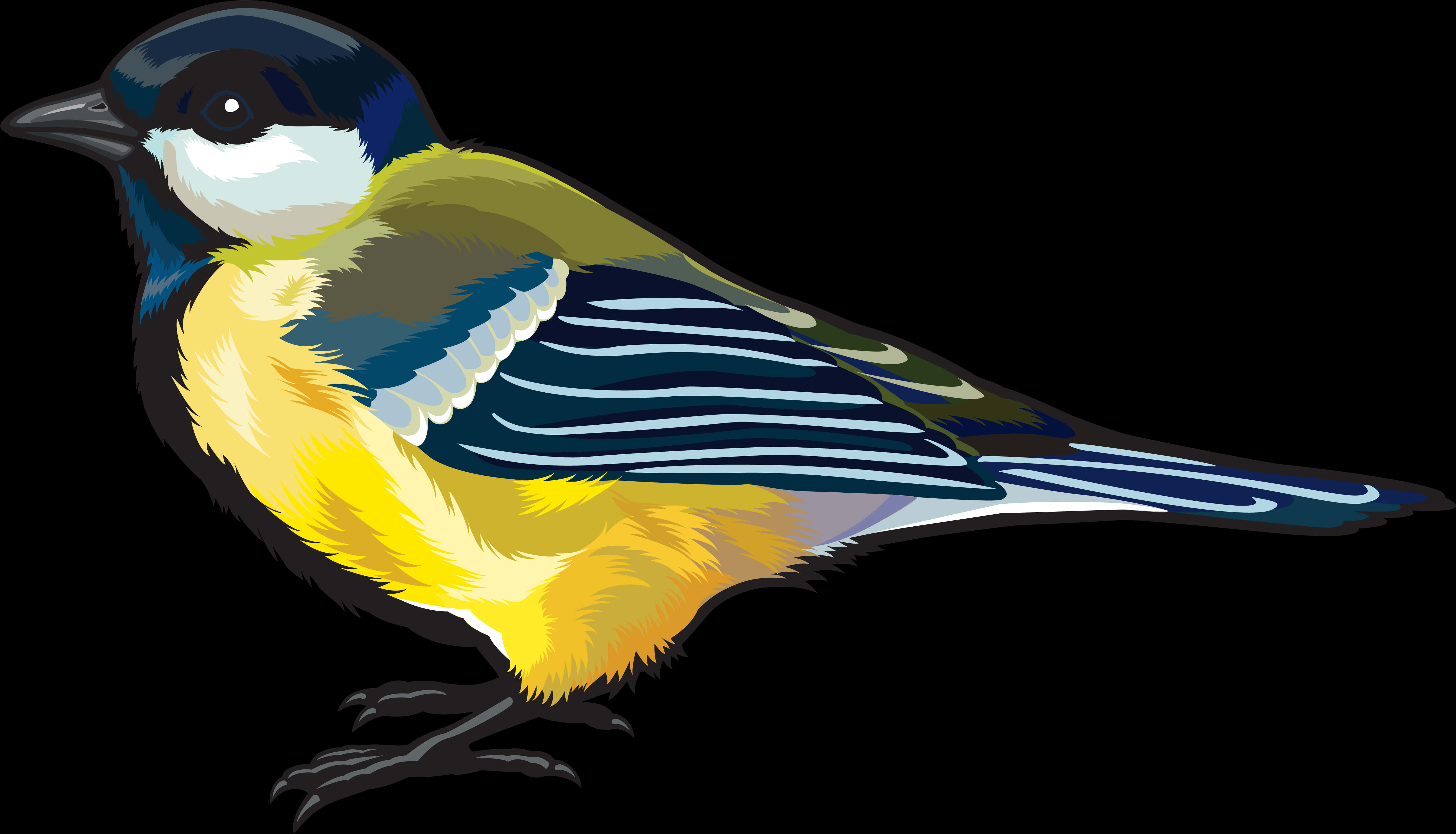 Colorful Great Tit Illustration