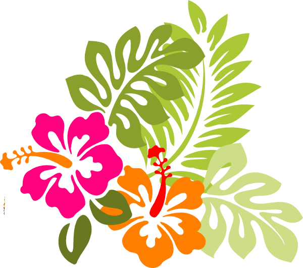 Colorful Hibiscus Vector Illustration