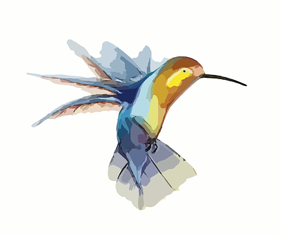 Colorful Hummingbird Illustration