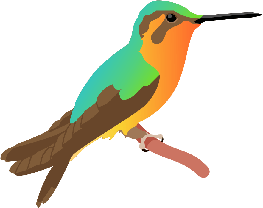 Colorful Hummingbird Illustration