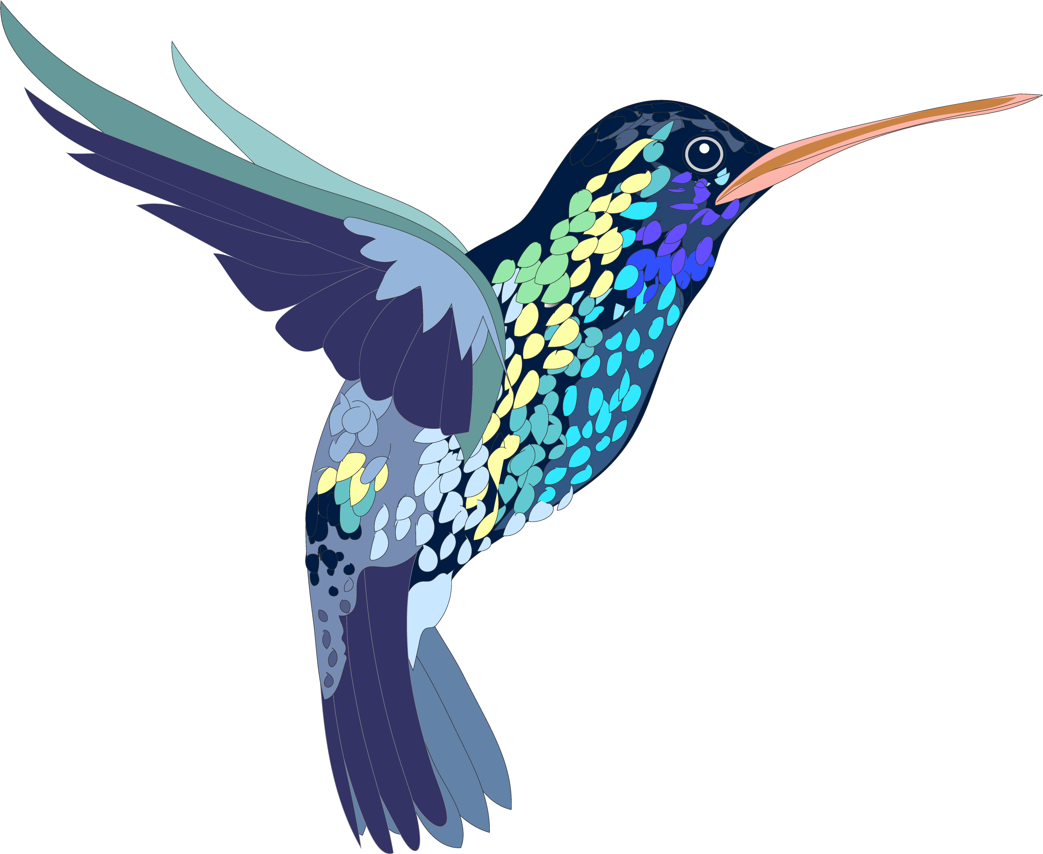 Colorful Hummingbird Illustration