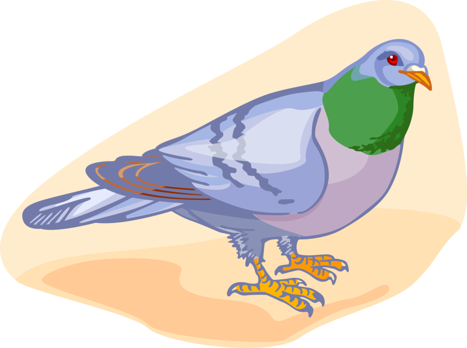 Colorful Illustrated Pigeon