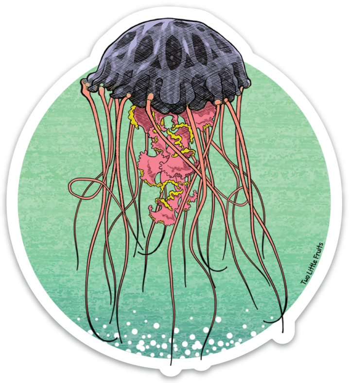 Colorful Jellyfish Illustration