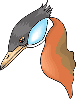 Colorful Kingfisher Illustration