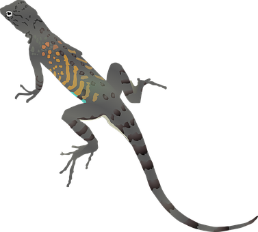 Colorful Lizard Illustration