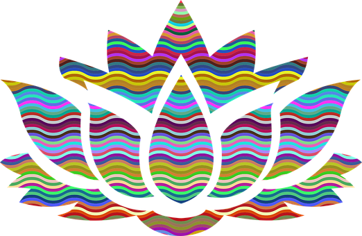 Colorful Lotus Flower Graphic