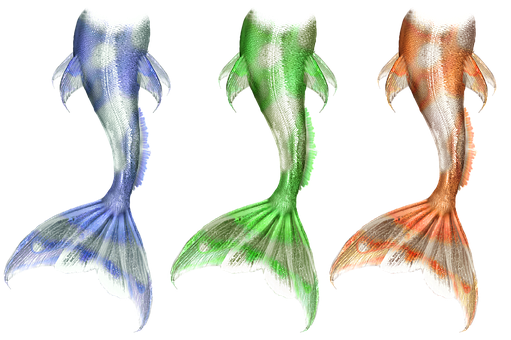 Colorful Mermaid Tails Collection