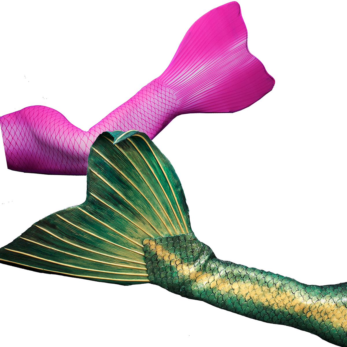 Colorful Mermaid Tails Graphic