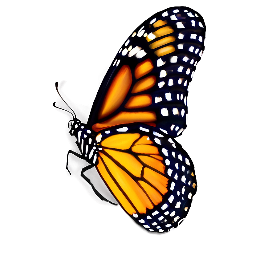 Colorful Monarch Butterfly Png 05252024