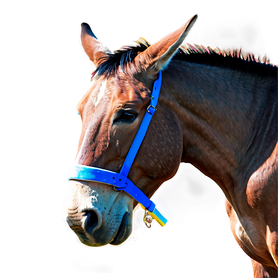 Colorful Mule Art Png 06292024