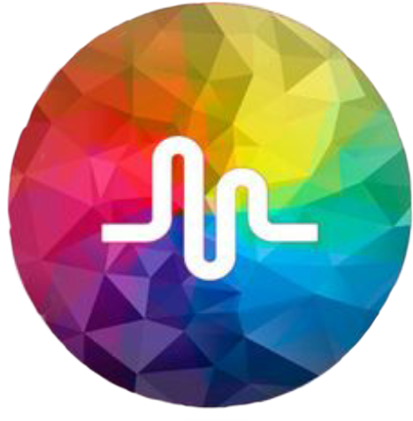 Colorful Music Wave Logo