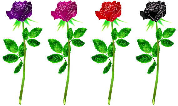 Colorful Neon Roses Vector Illustration