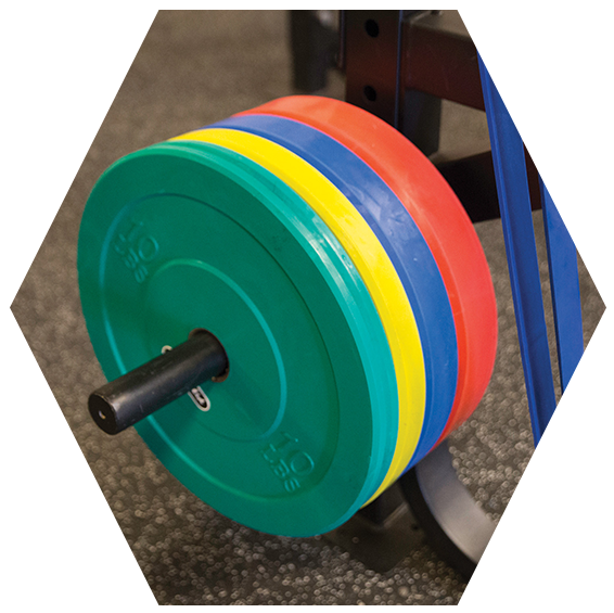 Colorful Olympic Weight Plates